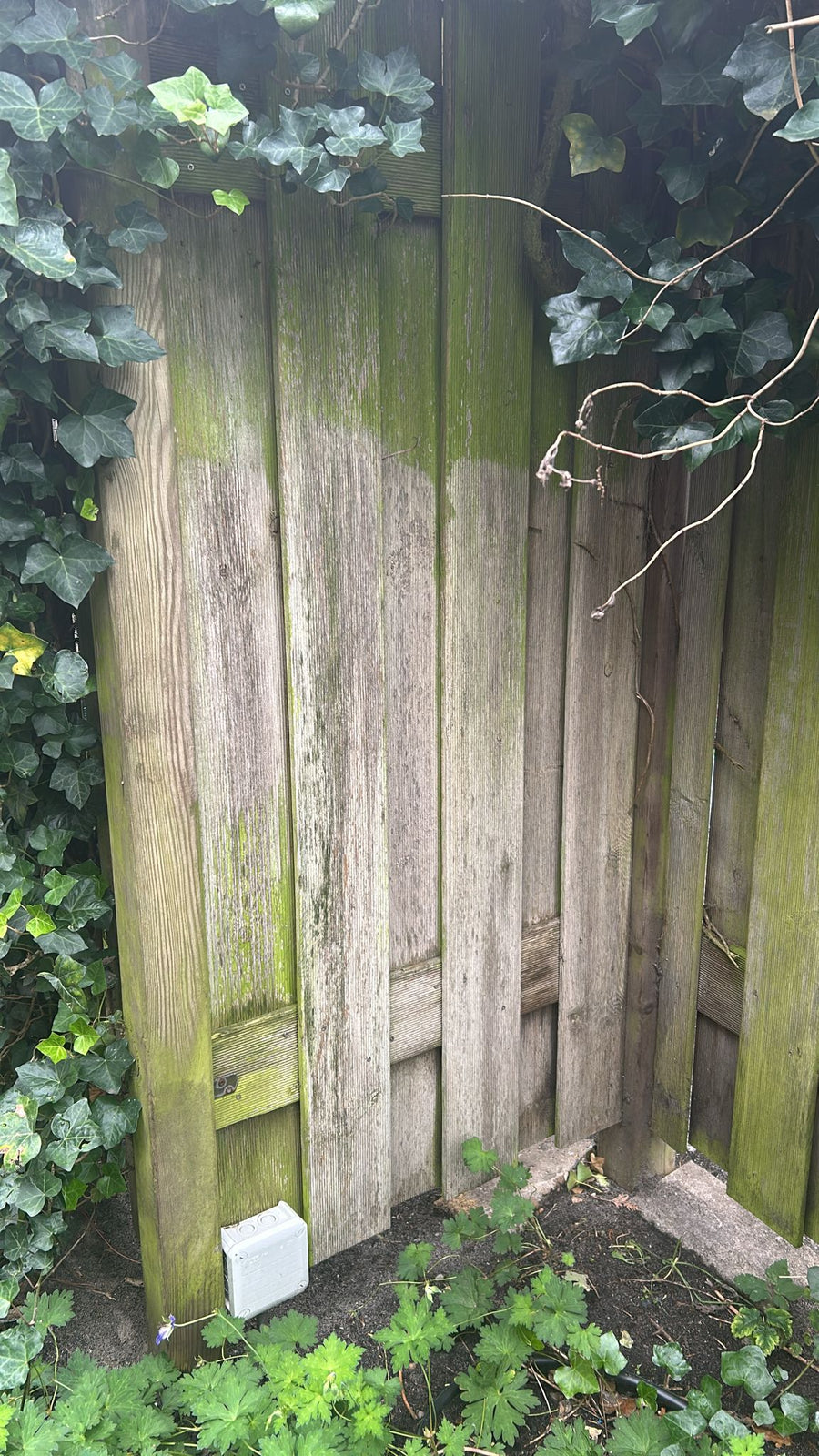 Voor Houten schutting