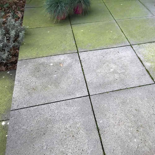 Groene aanslag komt terug zodra het vochtig wordt