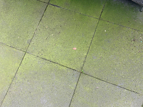 Terras