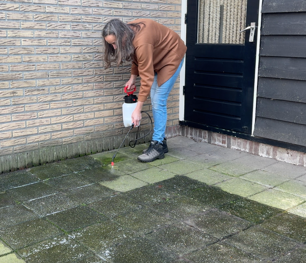 Anneke S.